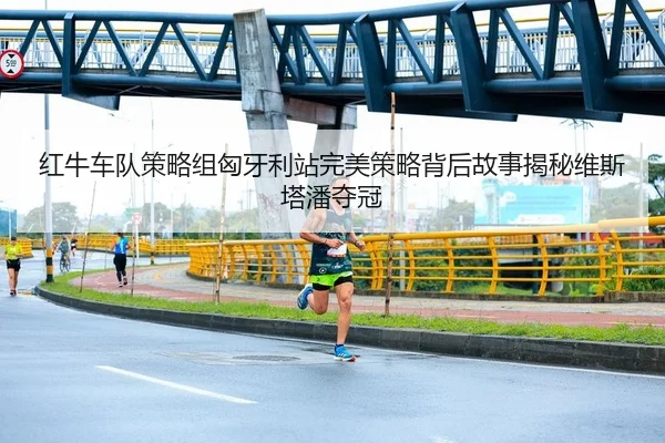 hong-niu-che-dui-ce-lve-zu-xiong-ya-li-zhan-wan-mei-ce-lve-bei-hou-gu-shi-jie-mi-wei-si-ta-pan-duo-guan-2-487.jpg